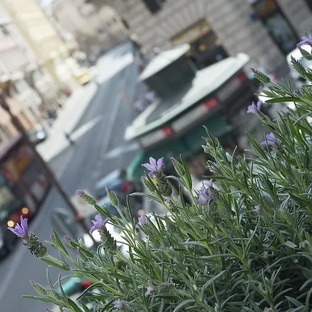 Corso Vittorio 308 B&B 로마