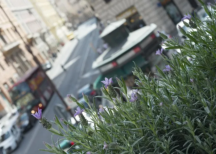 Corso Vittorio 308 Oda ve Kahvaltı Roma